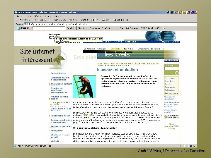 Site internet intéressant André Vézina, ITA campus La Pocatière 