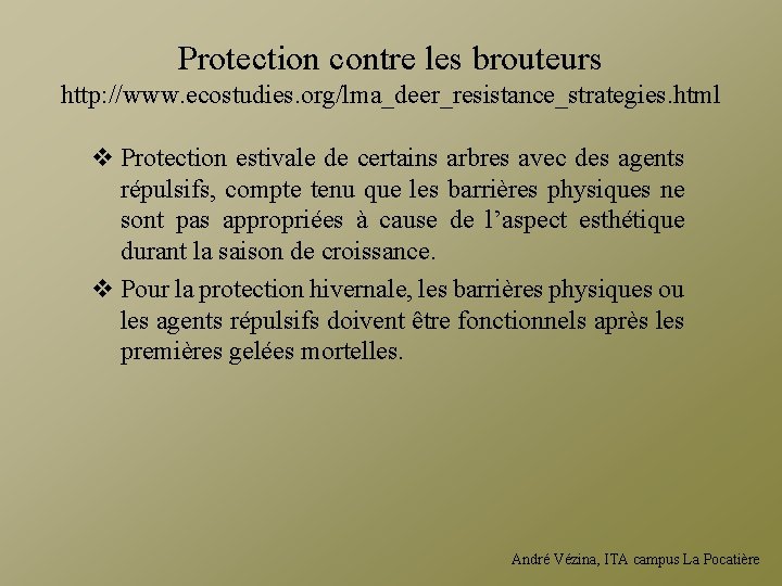 Protection contre les brouteurs http: //www. ecostudies. org/lma_deer_resistance_strategies. html v Protection estivale de certains