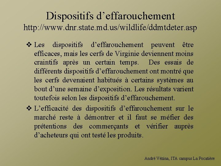 Dispositifs d’effarouchement http: //www. dnr. state. md. us/wildlife/ddmtdeter. asp v Les dispositifs d’effarouchement peuvent