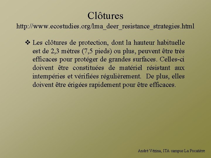 Clôtures http: //www. ecostudies. org/lma_deer_resistance_strategies. html v Les clôtures de protection, dont la hauteur