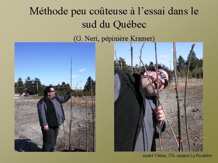 Méthode peu coûteuse à l’essai dans le sud du Québec (G. Neri, pépinière Kramer)