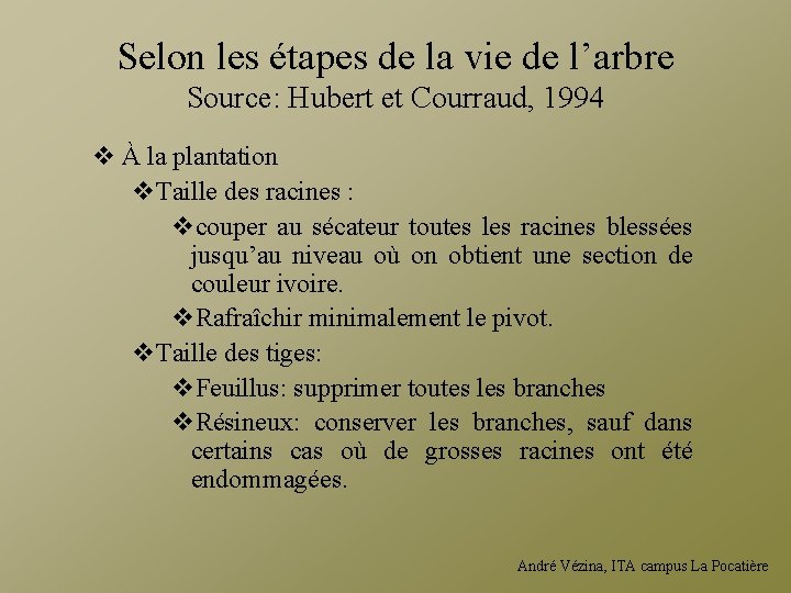 Selon les étapes de la vie de l’arbre Source: Hubert et Courraud, 1994 v