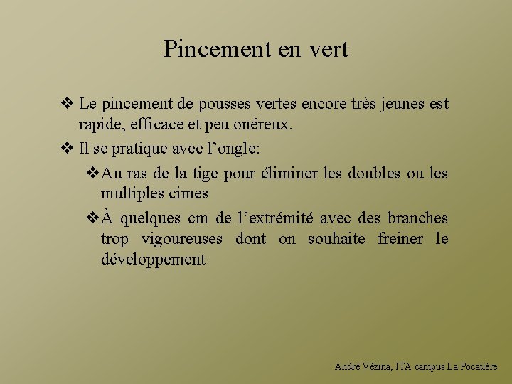 Pincement en vert v Le pincement de pousses vertes encore très jeunes est rapide,