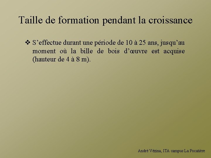 Taille de formation pendant la croissance v S’effectue durant une période de 10 à