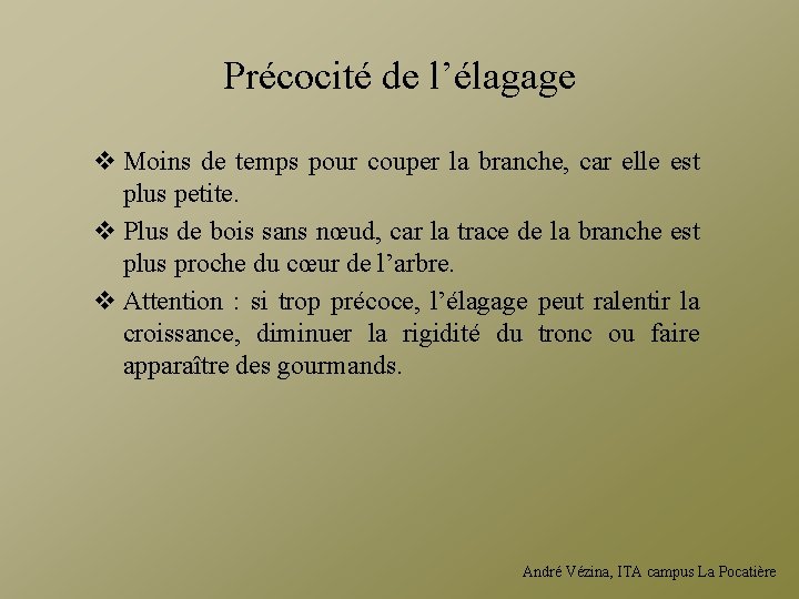 Précocité de l’élagage v Moins de temps pour couper la branche, car elle est