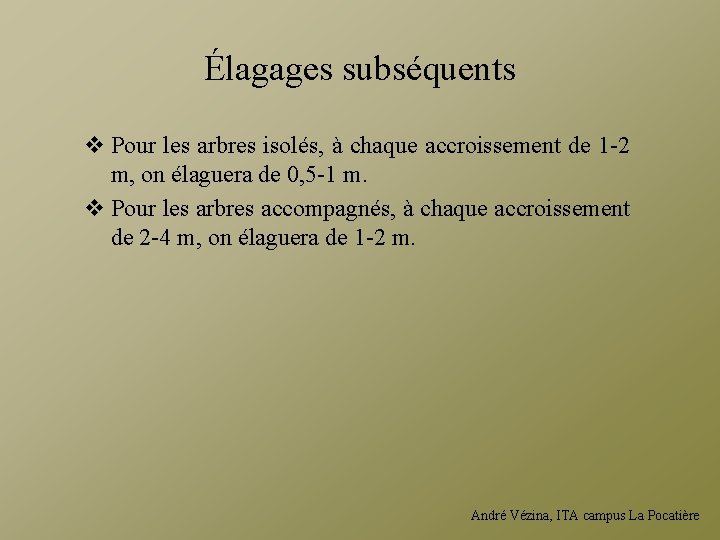 Élagages subséquents v Pour les arbres isolés, à chaque accroissement de 1 -2 m,