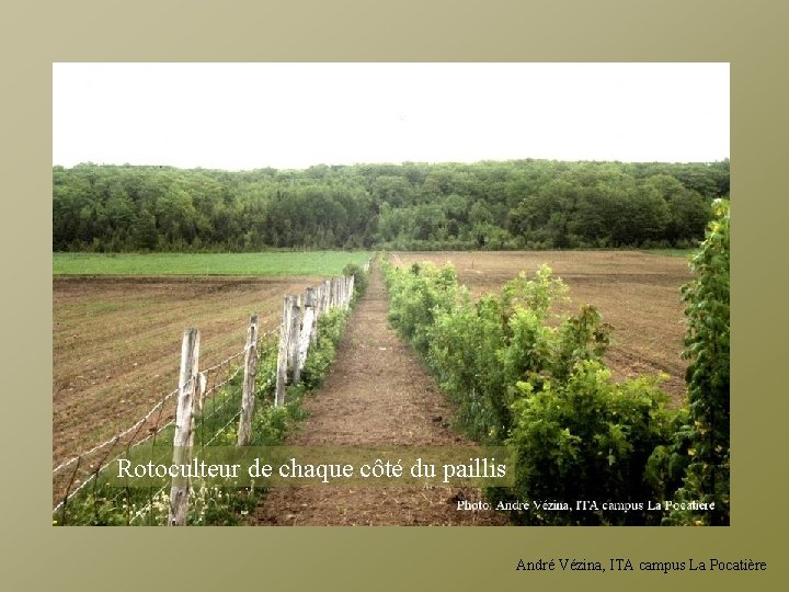 Rotoculteur de chaque côté du paillis André Vézina, ITA campus La Pocatière 