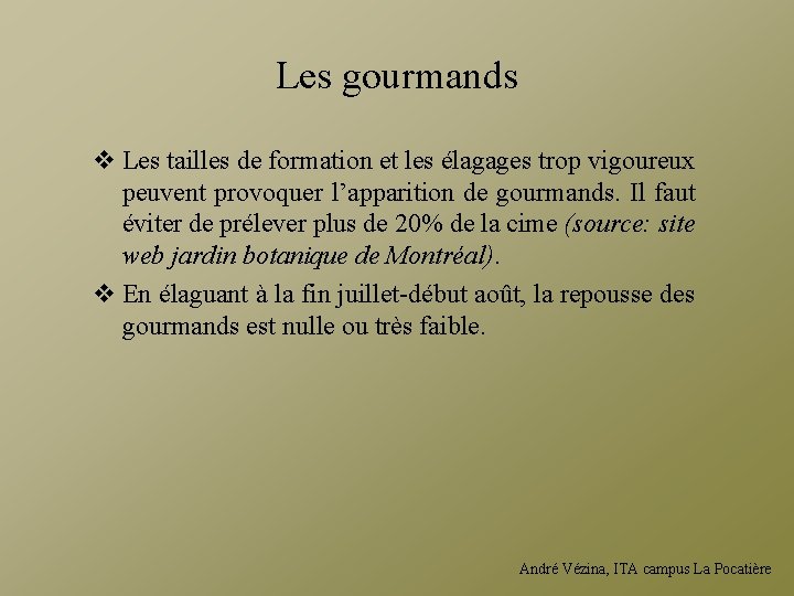 Les gourmands v Les tailles de formation et les élagages trop vigoureux peuvent provoquer