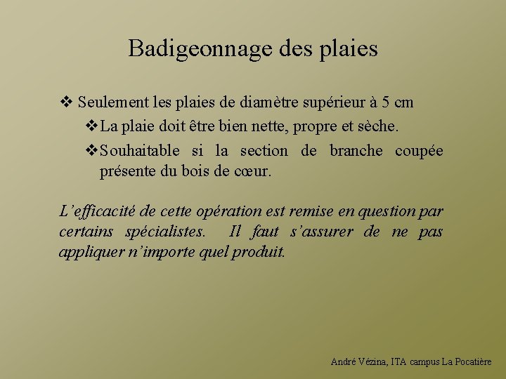 Badigeonnage des plaies v Seulement les plaies de diamètre supérieur à 5 cm v.