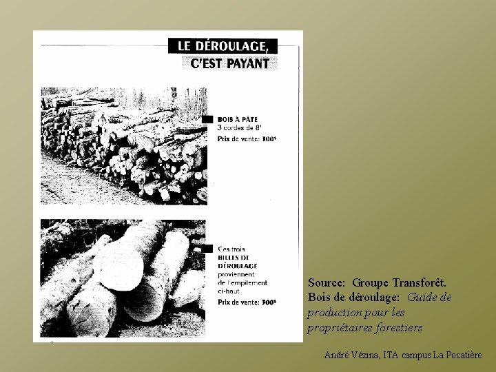 Source: Groupe Transforêt. Bois de déroulage: Guide de production pour les propriétaires forestiers André