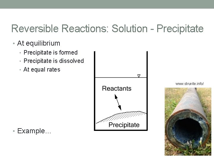 Reversible Reactions: Solution - Precipitate • At equilibrium • Precipitate is formed • Precipitate