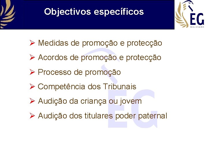 Objectivos específicos Medidas de promoção e protecção Acordos de promoção e protecção Processo de