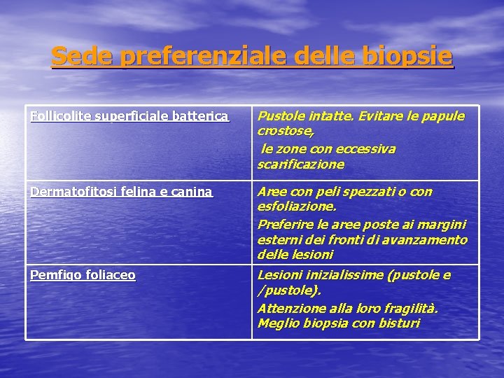 Sede preferenziale delle biopsie Follicolite superficiale batterica Pustole intatte. Evitare le papule crostose, le