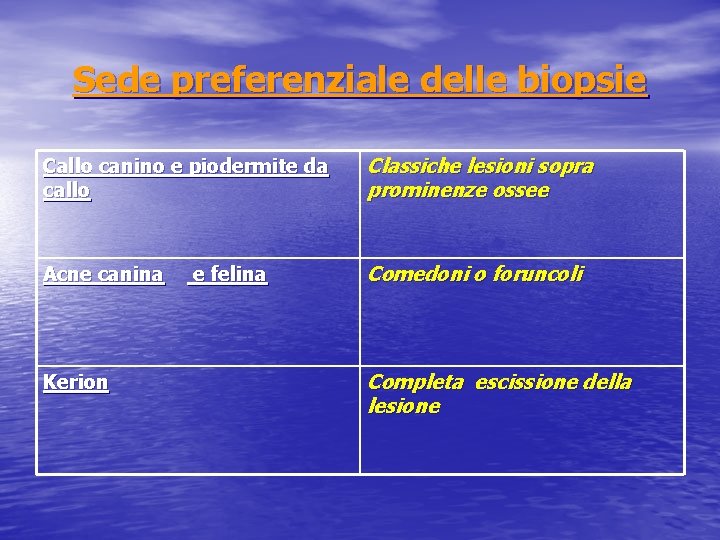 Sede preferenziale delle biopsie Callo canino e piodermite da callo Classiche lesioni sopra prominenze