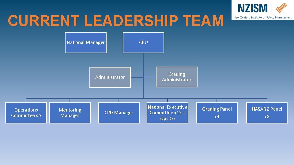 CURRENT LEADERSHIP TEAM National Manager Administrator Operations Committee x 5 Mentoring Manager CPD Manager