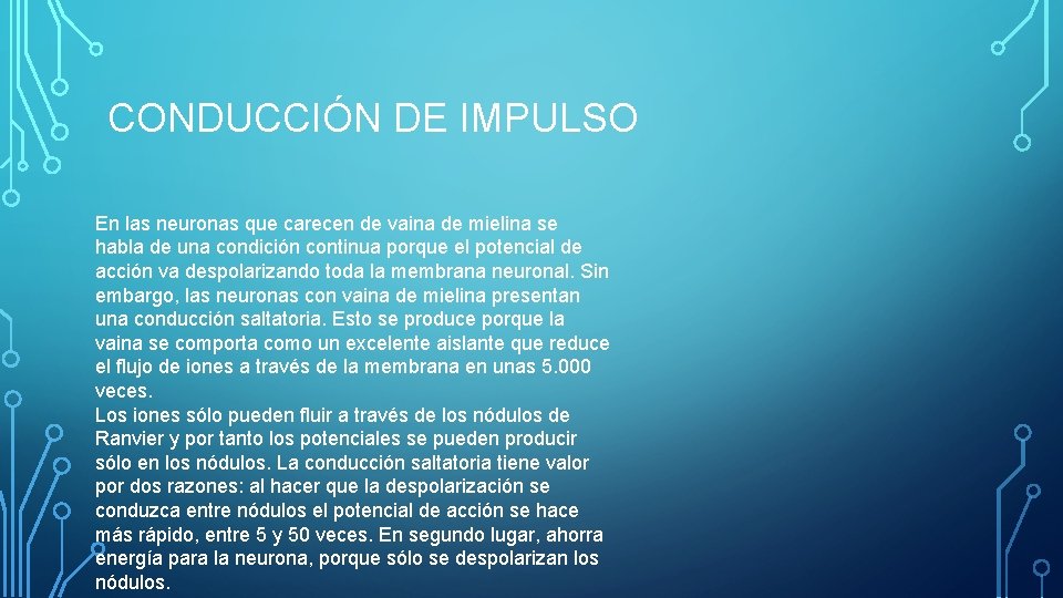 CONDUCCIÓN DE IMPULSO En las neuronas que carecen de vaina de mielina se habla