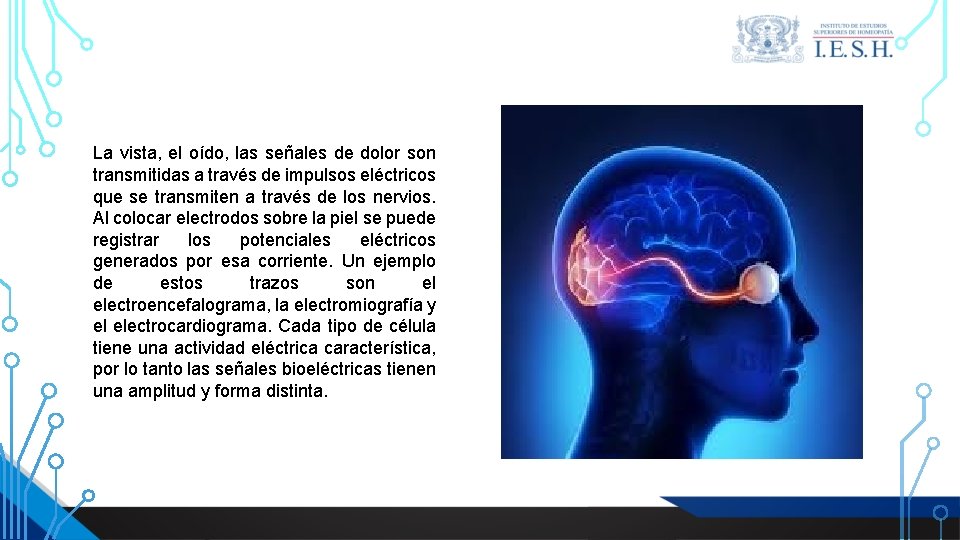 La vista, el oído, las señales de dolor son transmitidas a través de impulsos