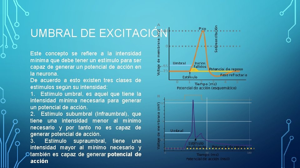 UMBRAL DE EXCITACIÓN Este concepto se refiere a la intensidad mínima que debe tener