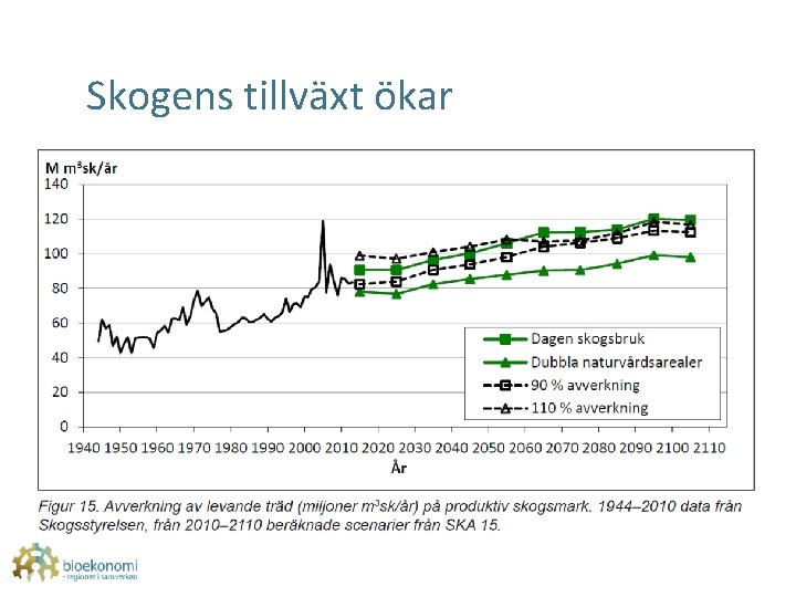 Skogens tillväxt ökar 