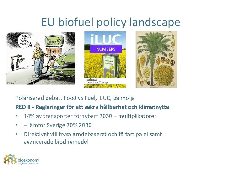 EU biofuel policy landscape Polariserad debatt Food vs Fuel, ILUC, palmolja RED II -