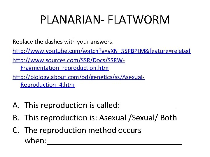 PLANARIAN- FLATWORM Replace the dashes with your answers. http: //www. youtube. com/watch? v=v. XN_5