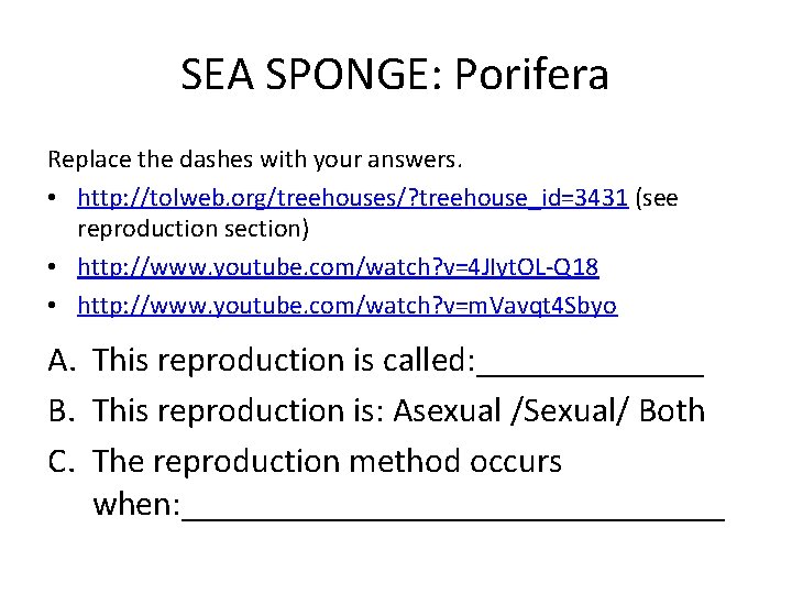 SEA SPONGE: Porifera Replace the dashes with your answers. • http: //tolweb. org/treehouses/? treehouse_id=3431