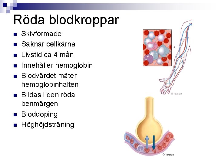 Röda blodkroppar n n n n Skivformade Saknar cellkärna Livstid ca 4 mån Innehåller