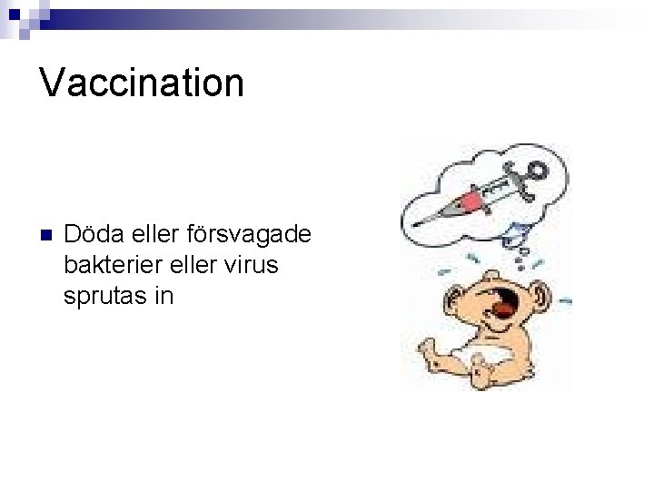 Vaccination n Döda eller försvagade bakterier eller virus sprutas in 