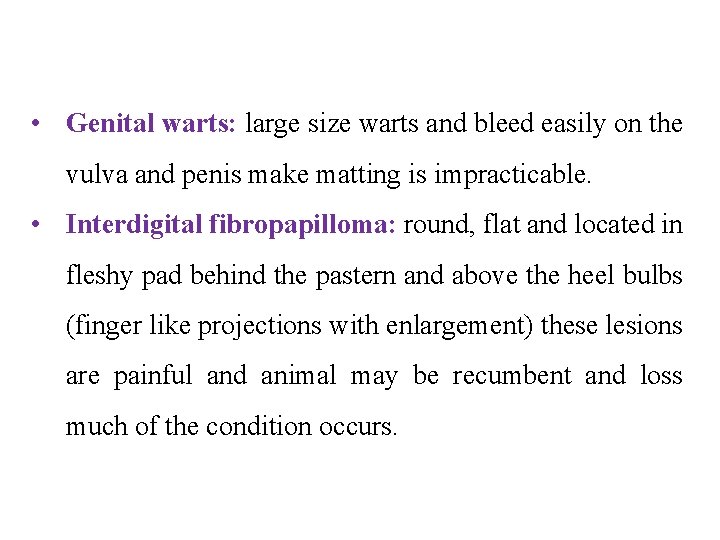  • Genital warts: large size warts and bleed easily on the vulva and