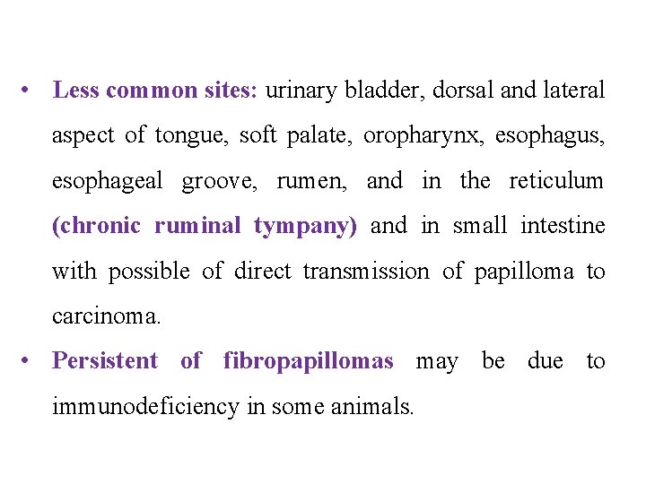  • Less common sites: urinary bladder, dorsal and lateral aspect of tongue, soft