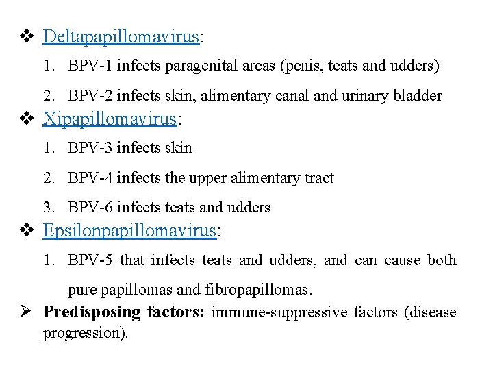 v Deltapapillomavirus: 1. BPV-1 infects paragenital areas (penis, teats and udders) 2. BPV-2 infects