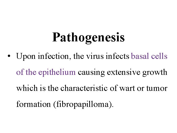 Pathogenesis • Upon infection, the virus infects basal cells of the epithelium causing extensive