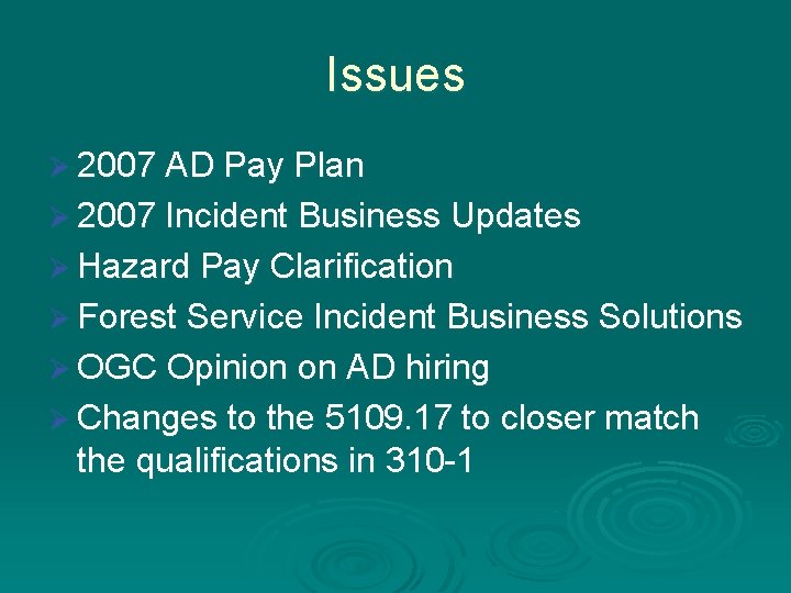 Issues Ø 2007 AD Pay Plan Ø 2007 Incident Business Updates Ø Hazard Pay