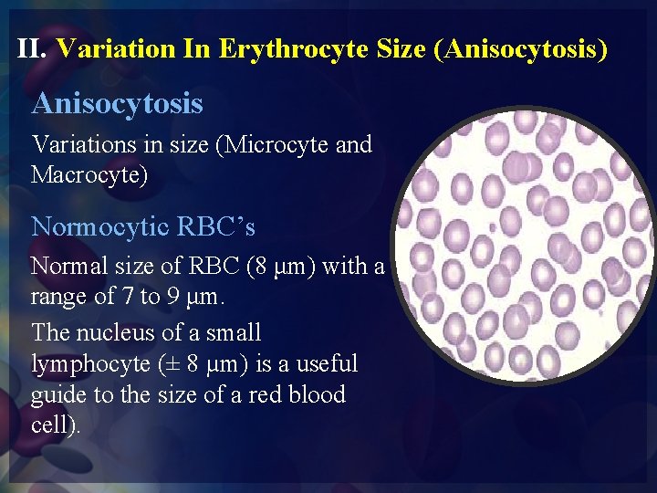 II. Variation In Erythrocyte Size (Anisocytosis) Anisocytosis Variations in size (Microcyte and Macrocyte) Normocytic