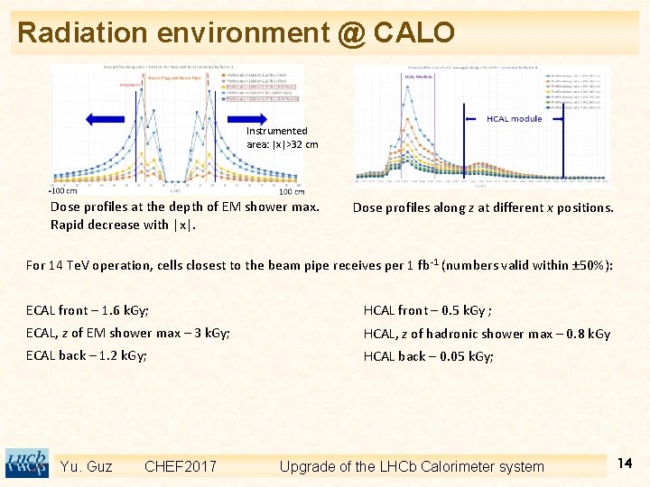 Radiation environment @ CALO Instrumented area: |x|>32 cm Dose profiles at the depth of
