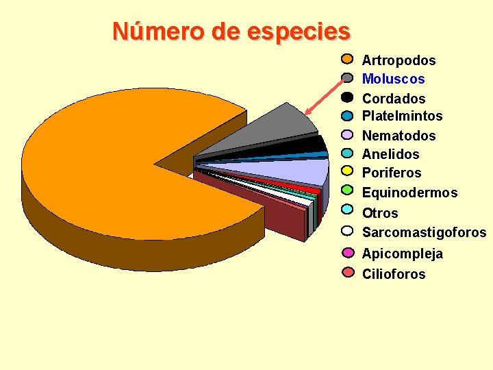 Número de especies Artropodos Moluscos Cordados Platelmintos Nematodos Anelidos Poriferos Equinodermos Otros Sarcomastigoforos Apicompleja