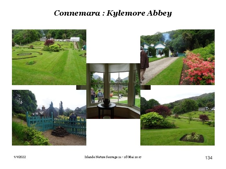 Connemara : Kylemore Abbey 1/1/2022 Irlande Nature Sauvage 21 - 28 Mai 2017 134