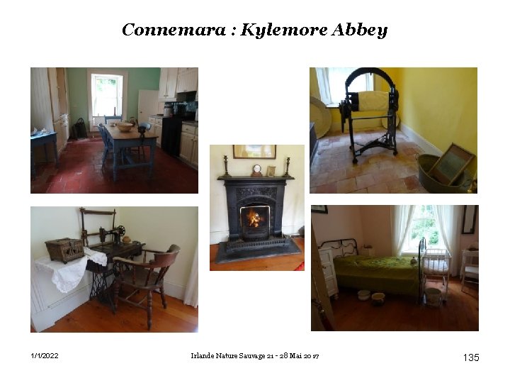 Connemara : Kylemore Abbey 1/1/2022 Irlande Nature Sauvage 21 - 28 Mai 2017 135