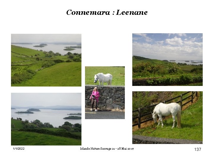 Connemara : Leenane 1/1/2022 Irlande Nature Sauvage 21 - 28 Mai 2017 137 