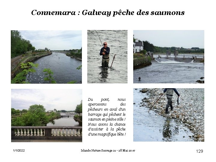 Connemara : Galway pêche des saumons Du pont, nous apercevons des pêcheurs en aval