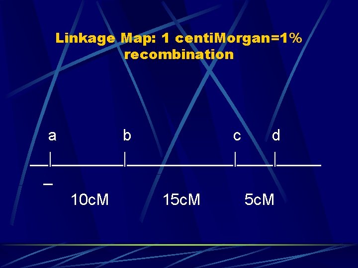 Linkage Map: 1 centi. Morgan=1% recombination a b c d __|____________|_____ _ 10 c.