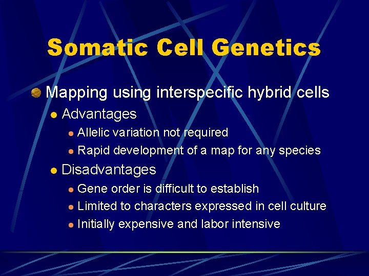 Somatic Cell Genetics Mapping using interspecific hybrid cells l Advantages Allelic variation not required