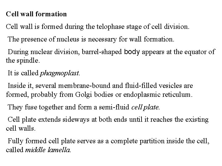 Cell wall formation Cell wall is formed during the telophase stage of cell division.