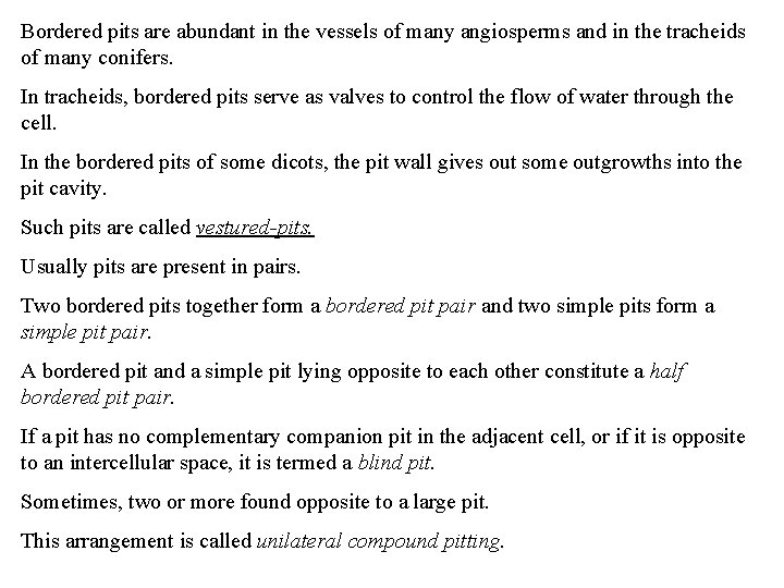 Bordered pits are abundant in the vessels of many angiosperms and in the tracheids