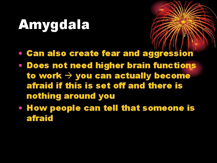 Amygdala • Can also create fear and aggression • Does not need higher brain