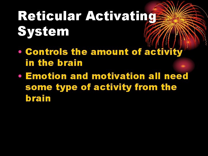 Reticular Activating System • Controls the amount of activity in the brain • Emotion