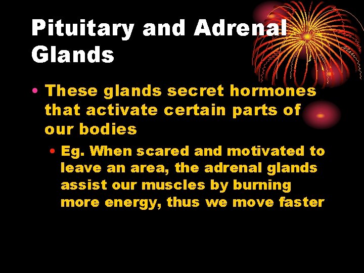 Pituitary and Adrenal Glands • These glands secret hormones that activate certain parts of