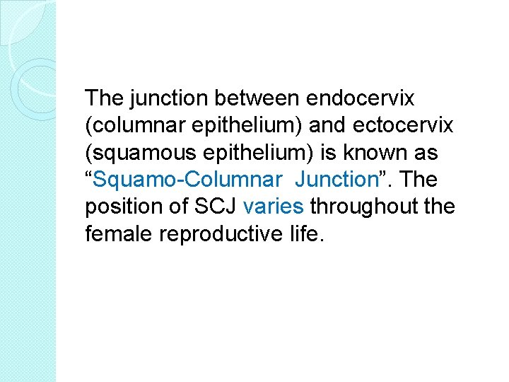The junction between endocervix (columnar epithelium) and ectocervix (squamous epithelium) is known as “Squamo-Columnar