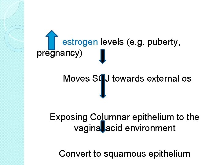 estrogen levels (e. g. puberty, pregnancy) Moves SCJ towards external os Exposing Columnar epithelium