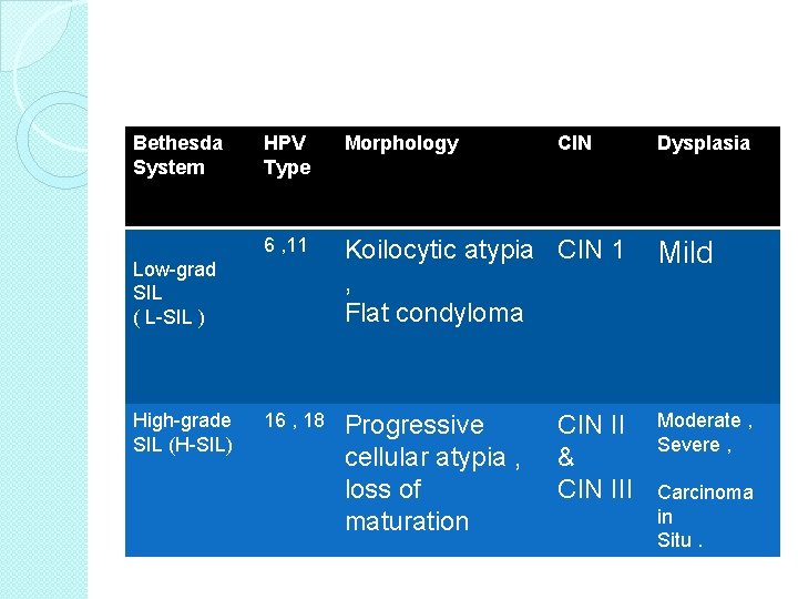 Bethesda System HPV Type Morphology 6 , 11 Koilocytic atypia CIN 1 , Flat